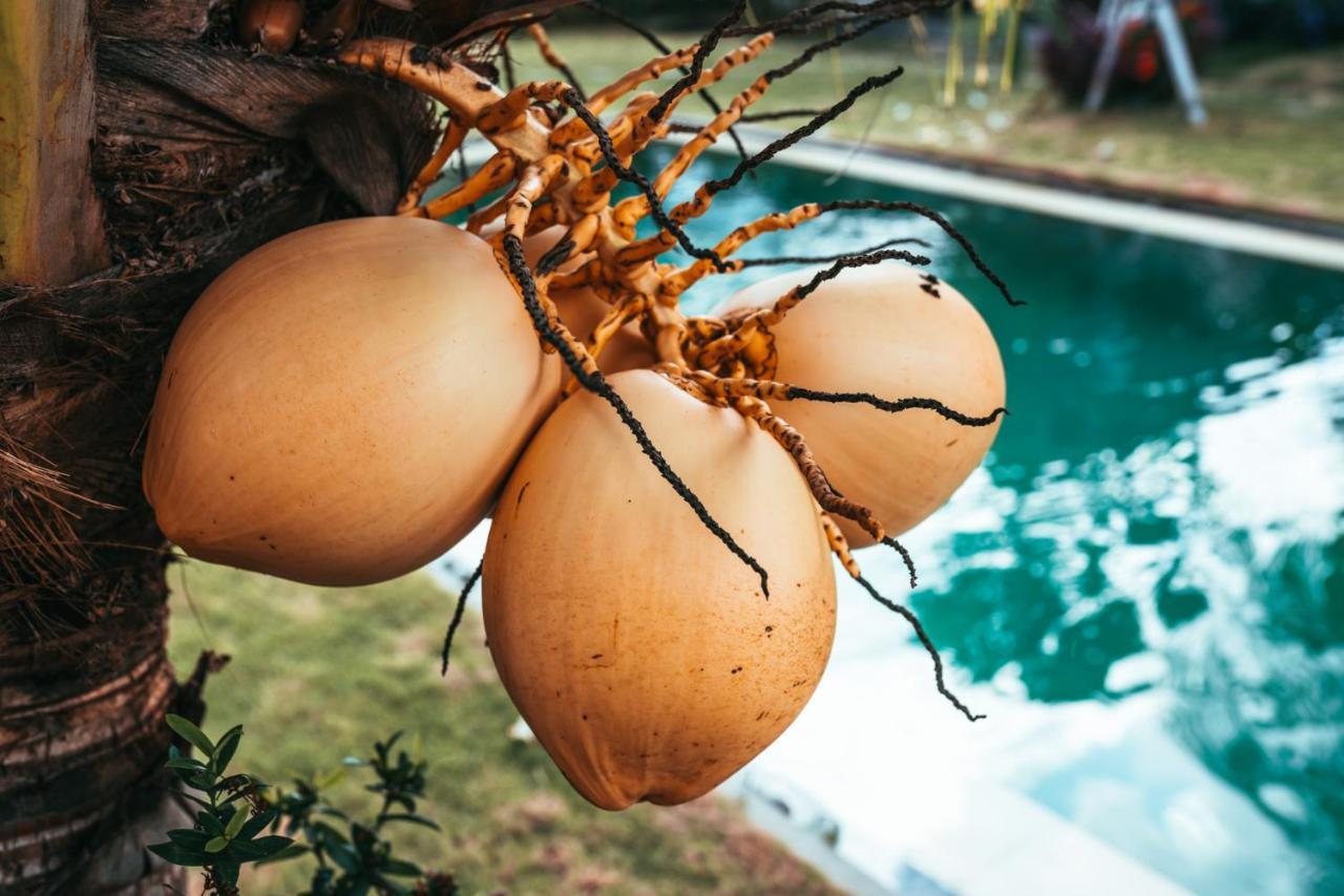 Bali Mynah Villas Resort Jimbaran Eksteriør bilde